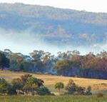 Candlebark Retreat - Accommodation NSW