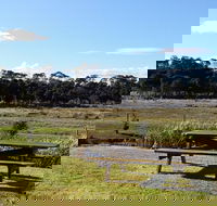 Pelican Point Sanctuary - Accommodation NSW