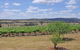 Beggars Bridge Vineyard Homestead W / Pool + Wifi + Tennis + Vineyard - thumb 2