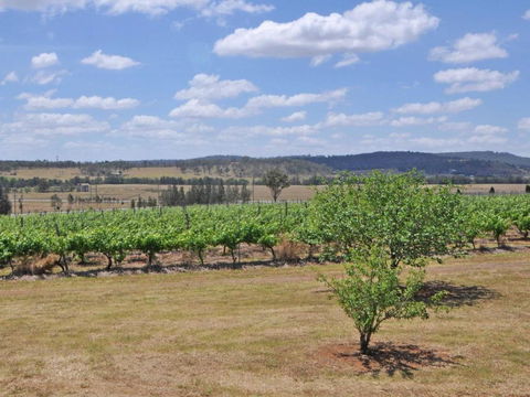 Beggars Bridge Vineyard Homestead W / Pool + Wifi + Tennis + Vineyard - Accommodation NSW 2