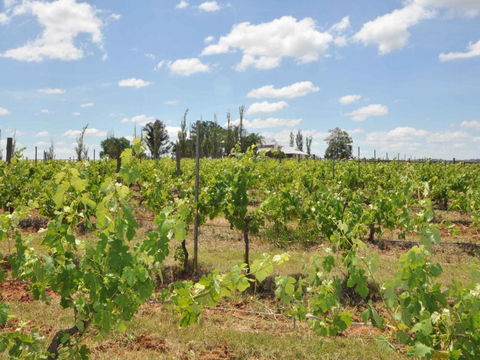 Beggars Bridge Vineyard Homestead W / Pool + Wifi + Tennis + Vineyard - Accommodation NSW 1