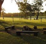 Wallaby Cottage cute Accom in bushland setting - Accommodation NSW