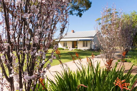 20 Hill Avenue Bed & Breakfast - Accommodation NSW 3