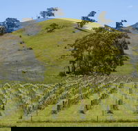 Blue House at Mountainside Wines - Accommodation NSW