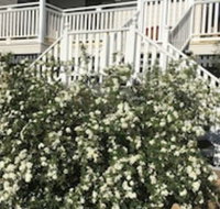 Glen Aplin Gardens BB - Accommodation NSW