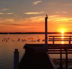 Bayview Boathouse - Accommodation NSW