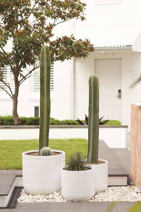 Adina Apartment Hotel Chippendale - Accommodation NSW 0