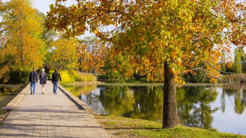 Crowne Plaza Canberra - Accommodation NSW 17