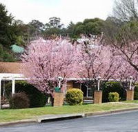 White Lanterns Motel - Accommodation NSW