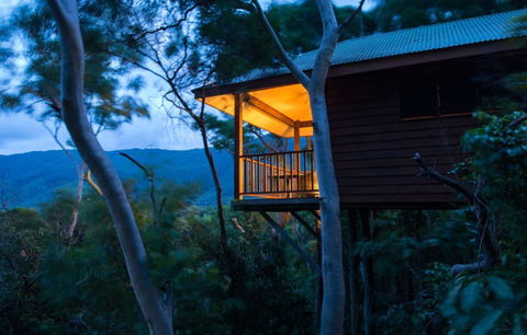 Thala Beach Nature Reserve - Accommodation NSW 0
