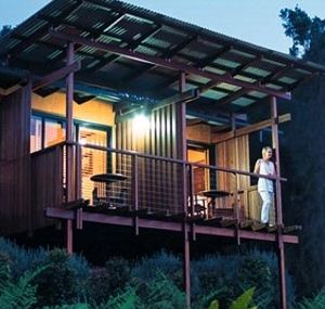 O'Reilly's Rainforest Guesthouse - Accommodation NSW 1