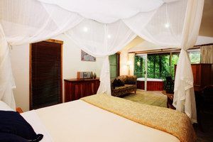 Daintree Eco Lodge & Spa - Accommodation NSW 1