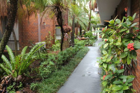 Best Western Ipswich - Accommodation NSW 1
