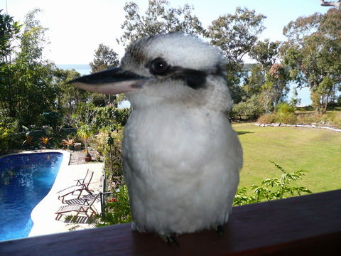 Yarrandabbi Dreaming Boutique B&B - Accommodation NSW 2