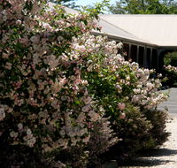 Wine Village Motor Inn - Accommodation NSW