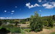 Golden Heritage Motor Inn & Cottages - thumb 10