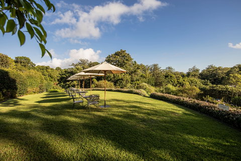 Spicers Clovelly Estate - Accommodation NSW 2