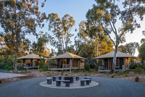 Discovery Parks Barossa Valley - Accommodation NSW 0