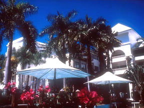 Alamanda Palm Cove - Accommodation NSW 1