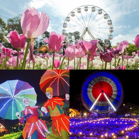 Modern Executive Apt@Barton*1BR*WiFi*Gym*Secure Parking*Canberra - Accommodation NSW 28