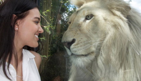 Modern Executive Apt@Barton*1BR*WiFi*Gym*Secure Parking*Canberra - Accommodation NSW 30