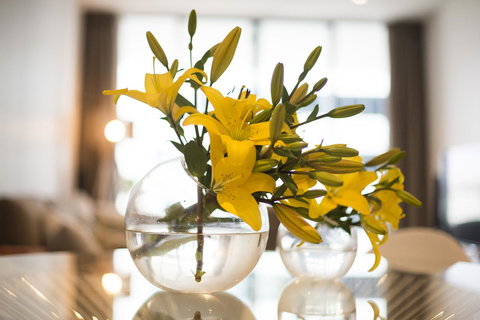 KUI - Manhattan Apartments - Accommodation NSW 0