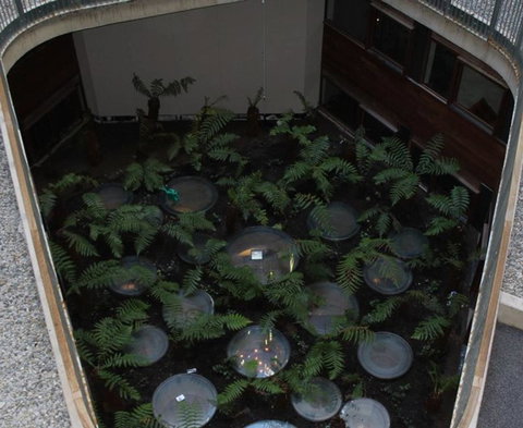 Canberra Luxury Apartment 3 - Accommodation NSW 32