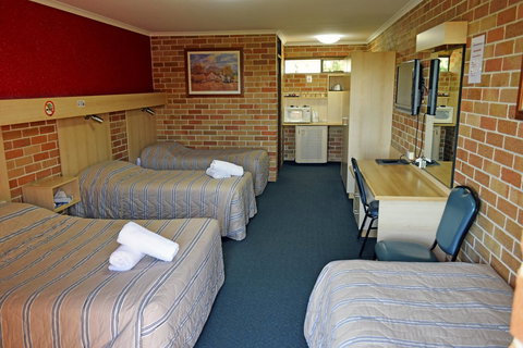 Windsor Terrace Motel - Accommodation NSW 9