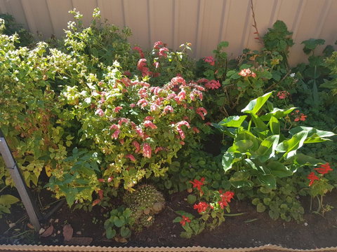 Tanunda\'s Magpie House - Accommodation NSW 24