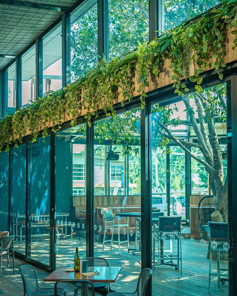 Marion Hotel - Accommodation NSW 25