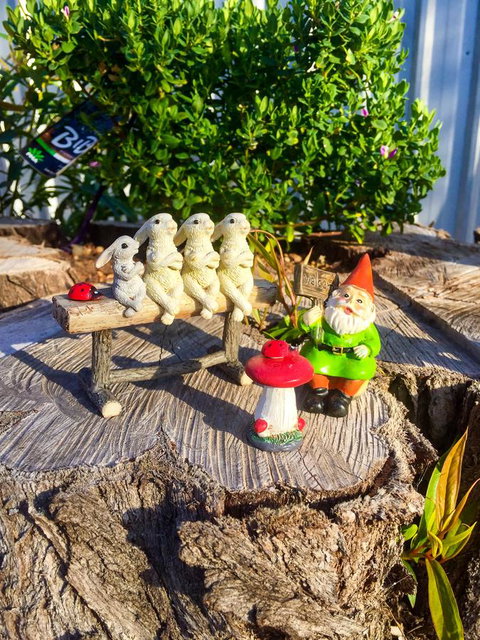 Inglenook Cottage - Accommodation NSW 34