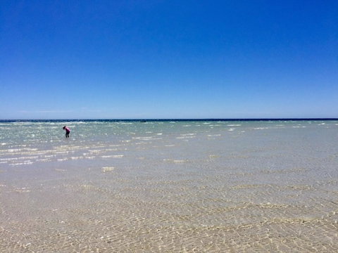 Inglenook Cottage - Accommodation NSW 37