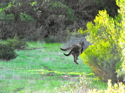 A Dune Escape - Accommodation NSW 25