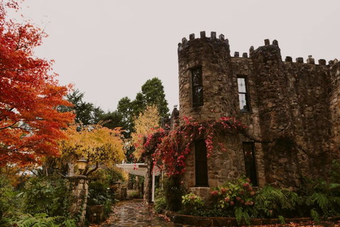 The Manor Basket Range - Accommodation NSW 15