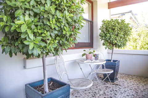 Mataro Cottage - Accommodation NSW 2