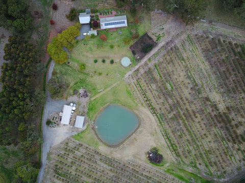 STUDIO ECHUNGA Adelaide Hills - Accommodation NSW 22