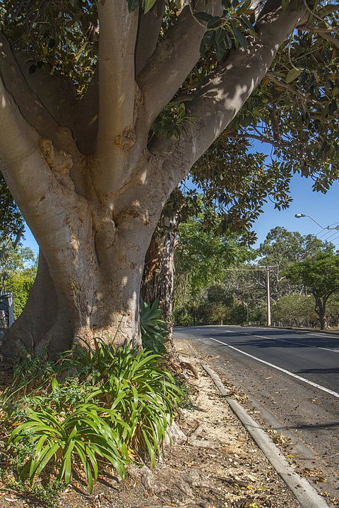 Stoneleigh Cottage Bed And Breakfast - Accommodation NSW 25