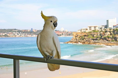 Beachfront Bliss - Accommodation NSW 23