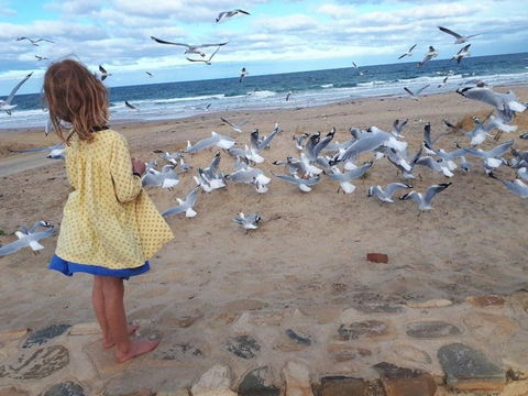 Moana Beach Tourist Park - Accommodation NSW 9