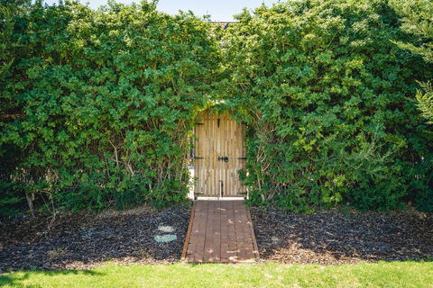 Mick O\'Sheas - Accommodation NSW 32