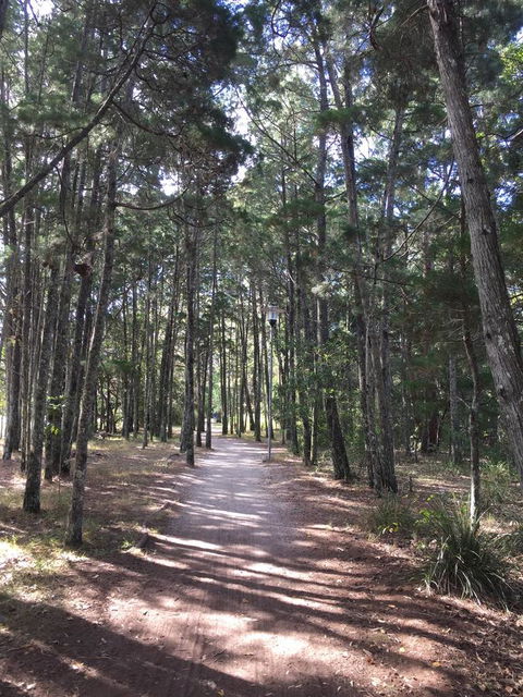 Brunswick Heads Treetop Studio - Accommodation NSW 8