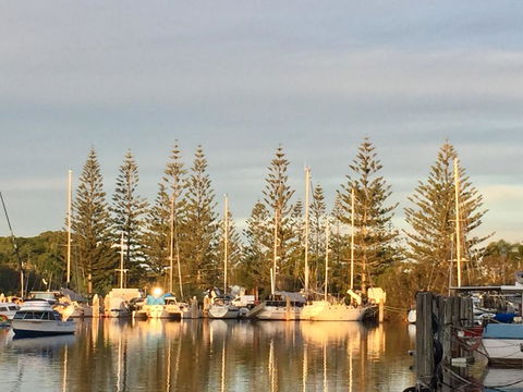 Brunswick Heads Treetop Studio - Accommodation NSW 24