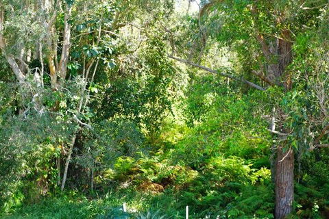 Brunswick Heads Treetop Studio - Accommodation NSW 20