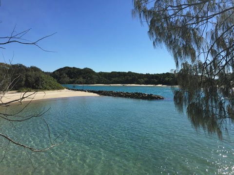 Brunswick Heads Treetop Studio - Accommodation NSW 22