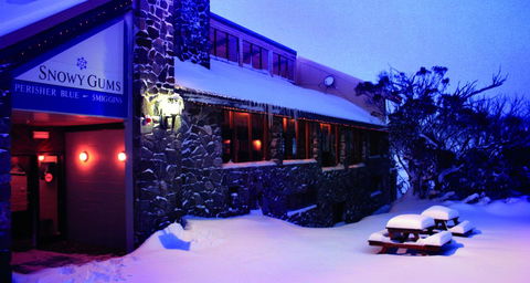 Snowy Gums Chalet - Accommodation NSW 3