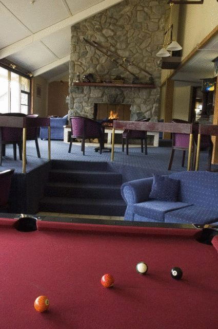 Snowy Gums Chalet - Accommodation NSW 8