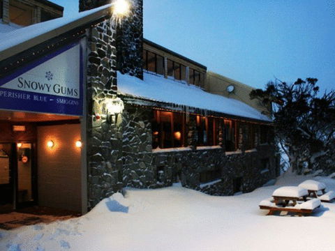 Snowy Gums Chalet - Accommodation NSW 5