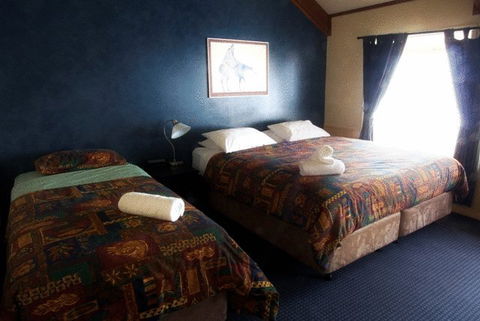 Snowy Gums Chalet - Accommodation NSW 13