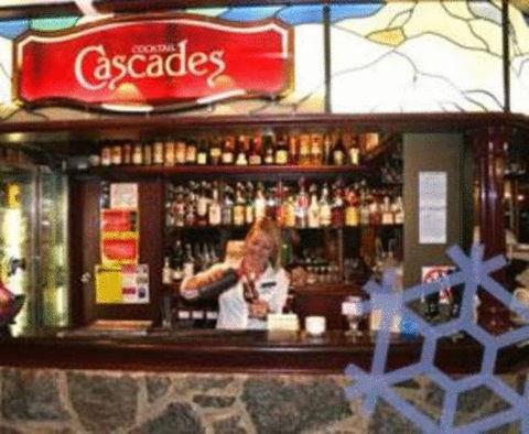 Snowy Gums Chalet - Accommodation NSW 10