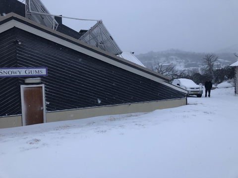 Snowy Gums Chalet - Accommodation NSW 1